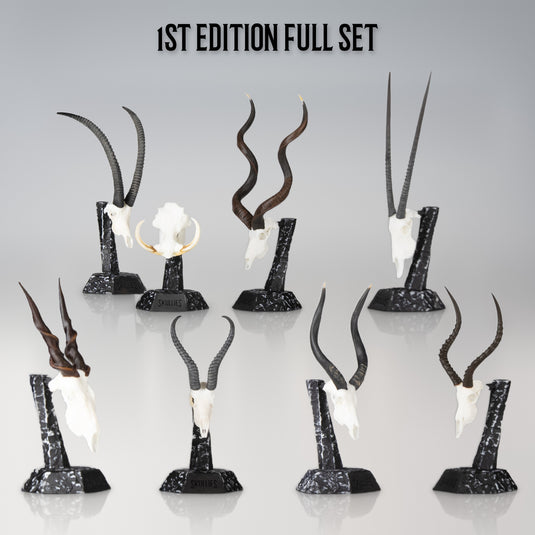 Skullies 1st Edition Full Set: all eight Skullies on their Display Pedestals