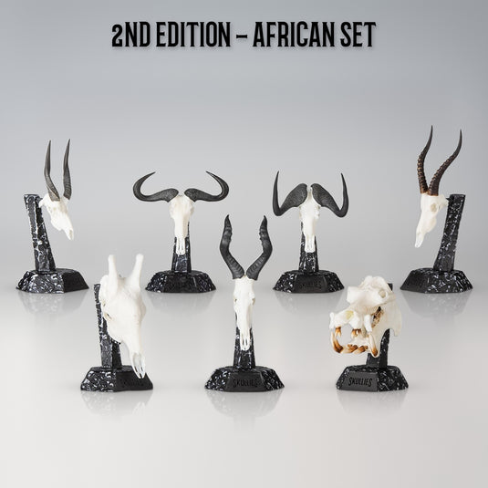 Skullies 2nd Edition African Species Set: all seven Skullies on their Display Pedestals
