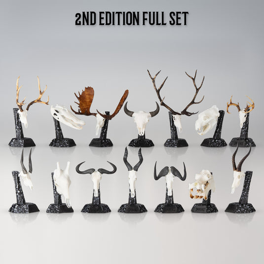 Skullies 2nd Edition Full Set: all fourteen Skullies on their Display Pedestals