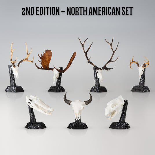 Skullies 2nd Edition North American Species Set: all seven Skullies on their Display Pedestals