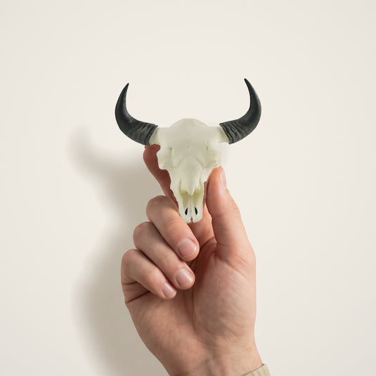 Bison Skullie held in hand for scale
