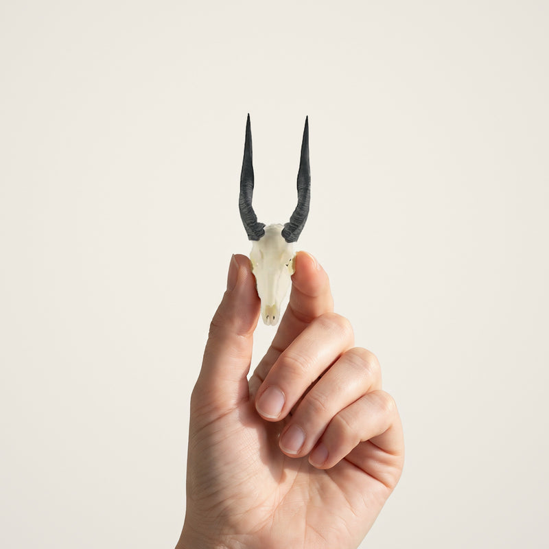 Load image into Gallery viewer, Bushbuck Skullie held in hand for scale

