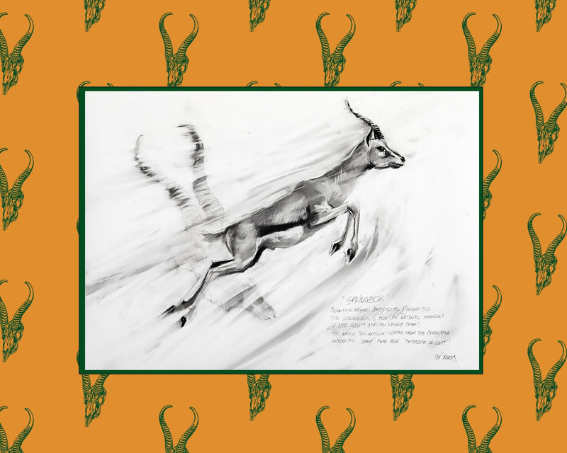 Load image into Gallery viewer, Skullies Collab - Springbuck Skullie &amp; Fine Art Print - Skullies
