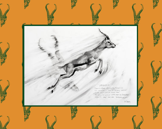 Skullies Collab - Springbuck Skullie & Fine Art Print - Skullies
