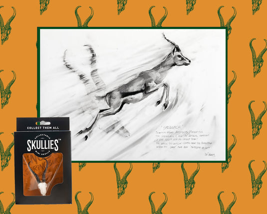Skullies Collab - Springbuck Skullie & Fine Art Print - Skullies