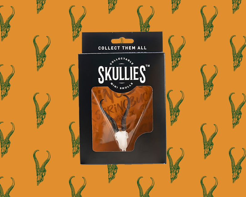 Load image into Gallery viewer, Skullies Collab - Springbuck Skullie &amp; Fine Art Print - Skullies

