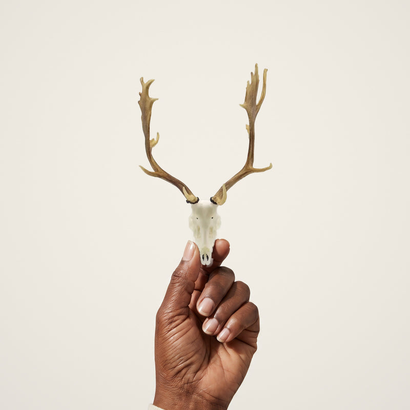 Load image into Gallery viewer, Fallow Deer Skullie held in hand for scale
