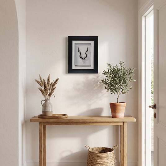 Framed Kudu Skullie hanging in a hallway above an oak console table, shown to scale