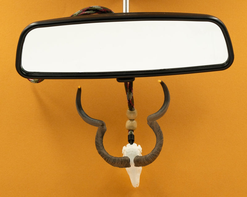 Load image into Gallery viewer, Skullies Mirror Hanging Accessory - Skullies
