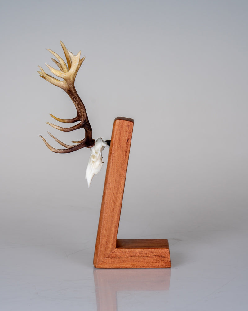 Load image into Gallery viewer, Pyramid Mount rosewood display pedestal side profile showing the leaning plinth and antlered Skullie

