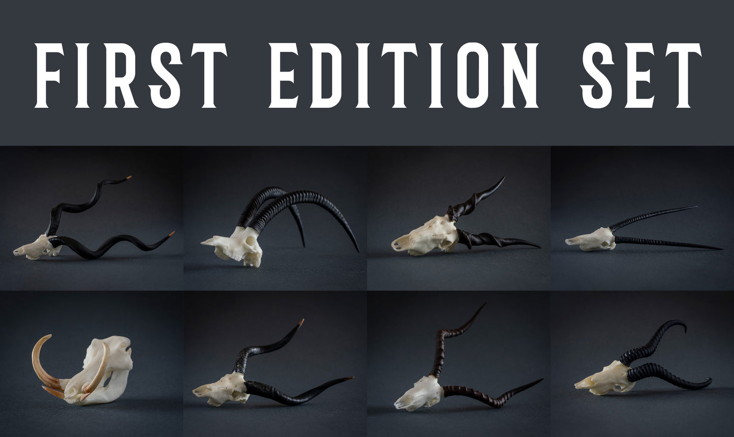 Skullies - Miniature Skulls first edition set