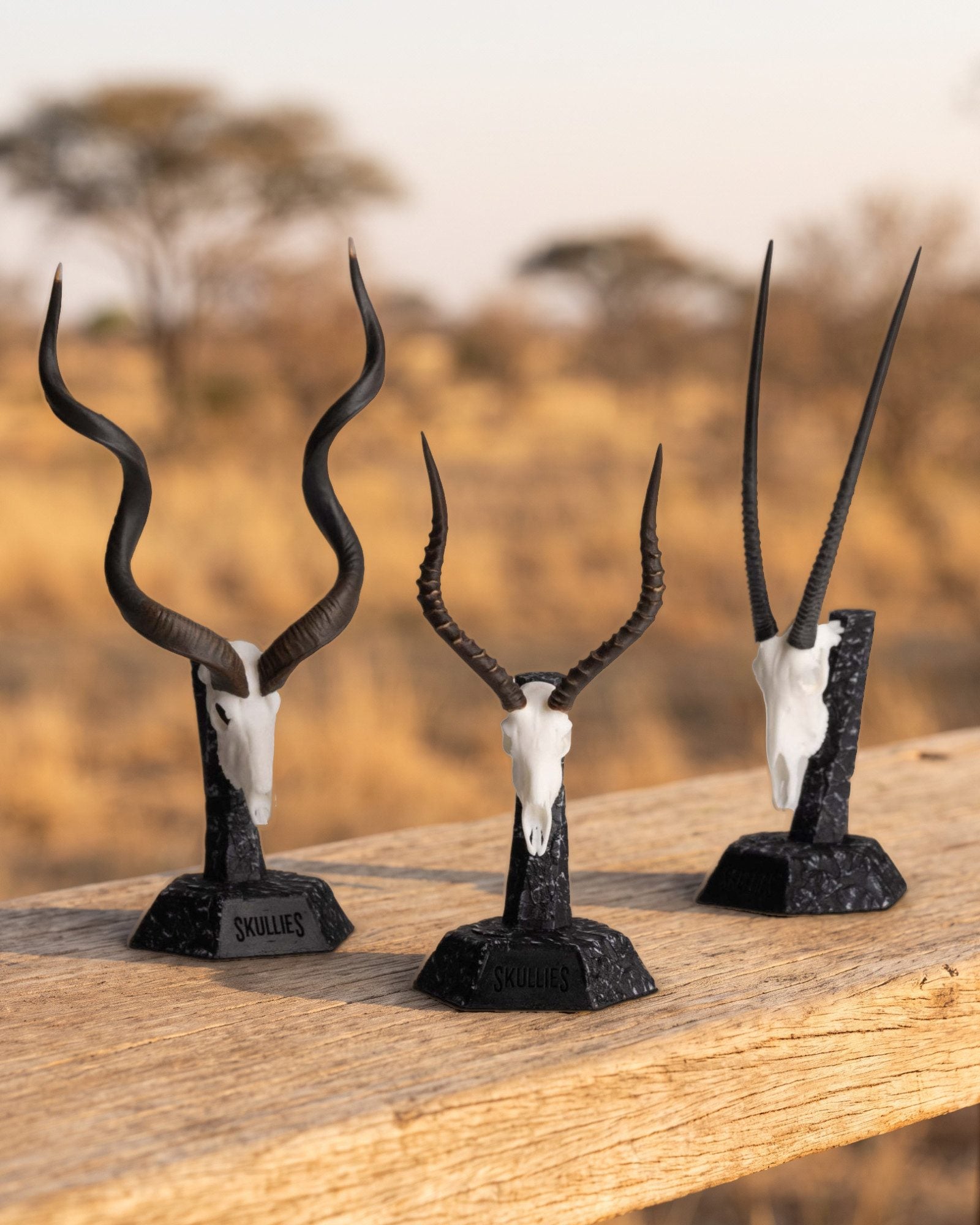 Kudu, impala and gemsbok Skullies on display pedestals on a bushveld ledge
