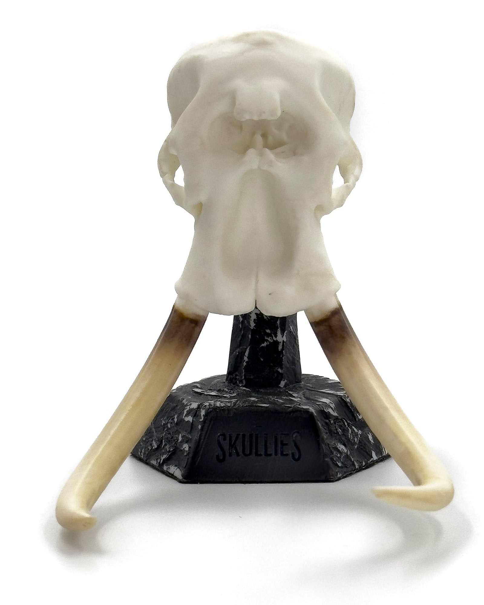 Elephant Skullie on a Skullies display pedestal